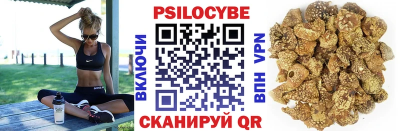 Купить закладки  Кимовск  Псилоцибиновые грибы Cubensis 
